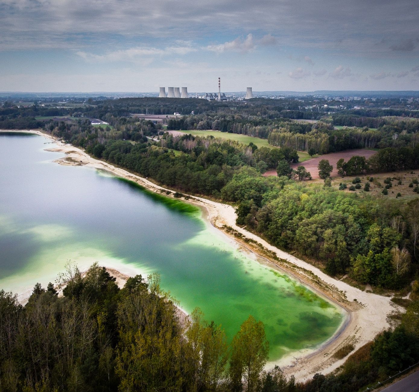 Szkolenia AI Chełmża