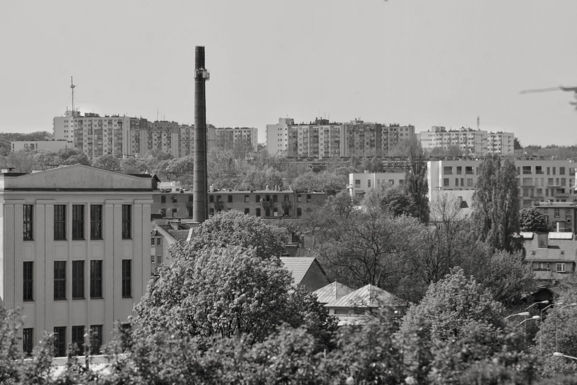 Szkolenia AI Solec Kujawski