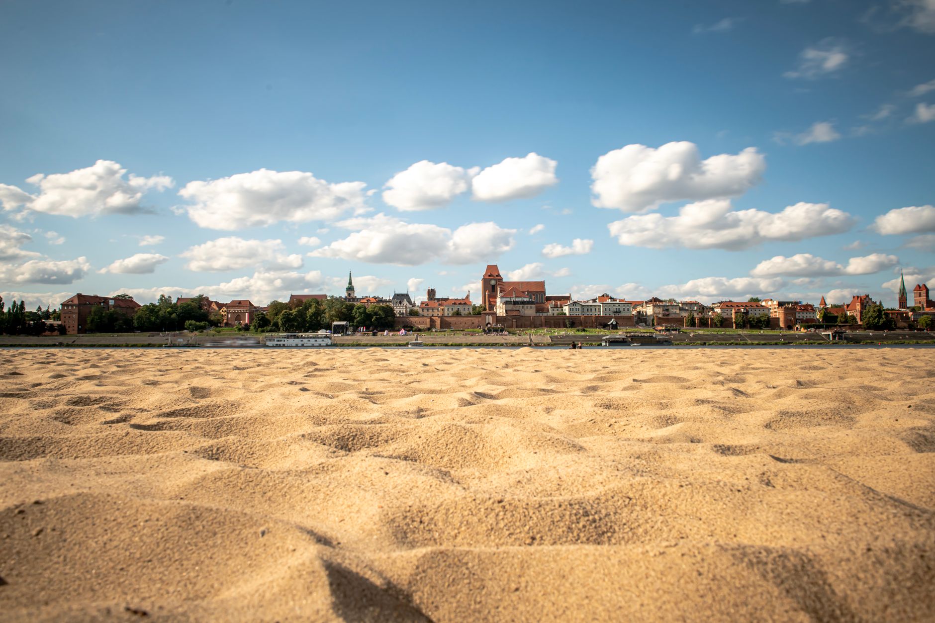 Szkolenia AI Toruń